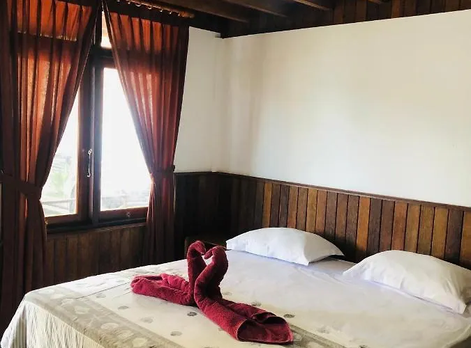 Padangbai Beach Inn *