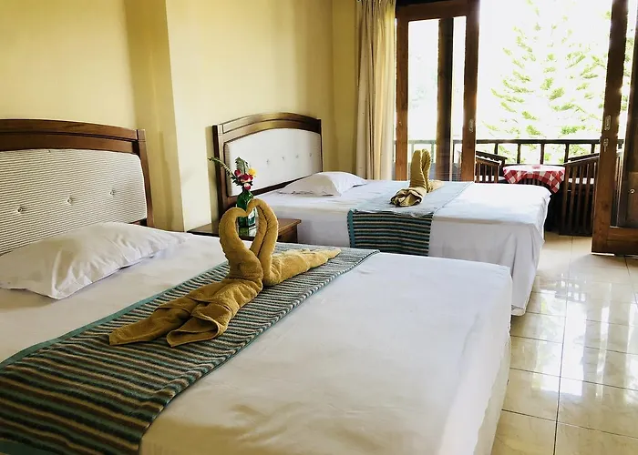 Padangbai Beach Inn イン *