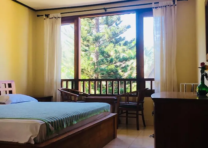 Padangbai Beach Inn イン パダンバイ